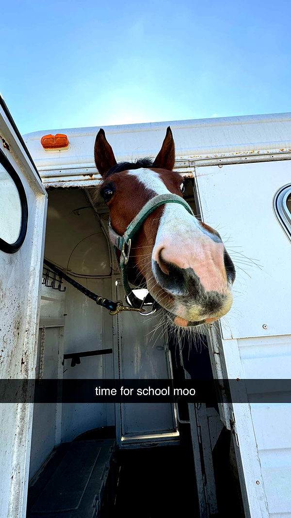 kkierstenking image ~ Altpins