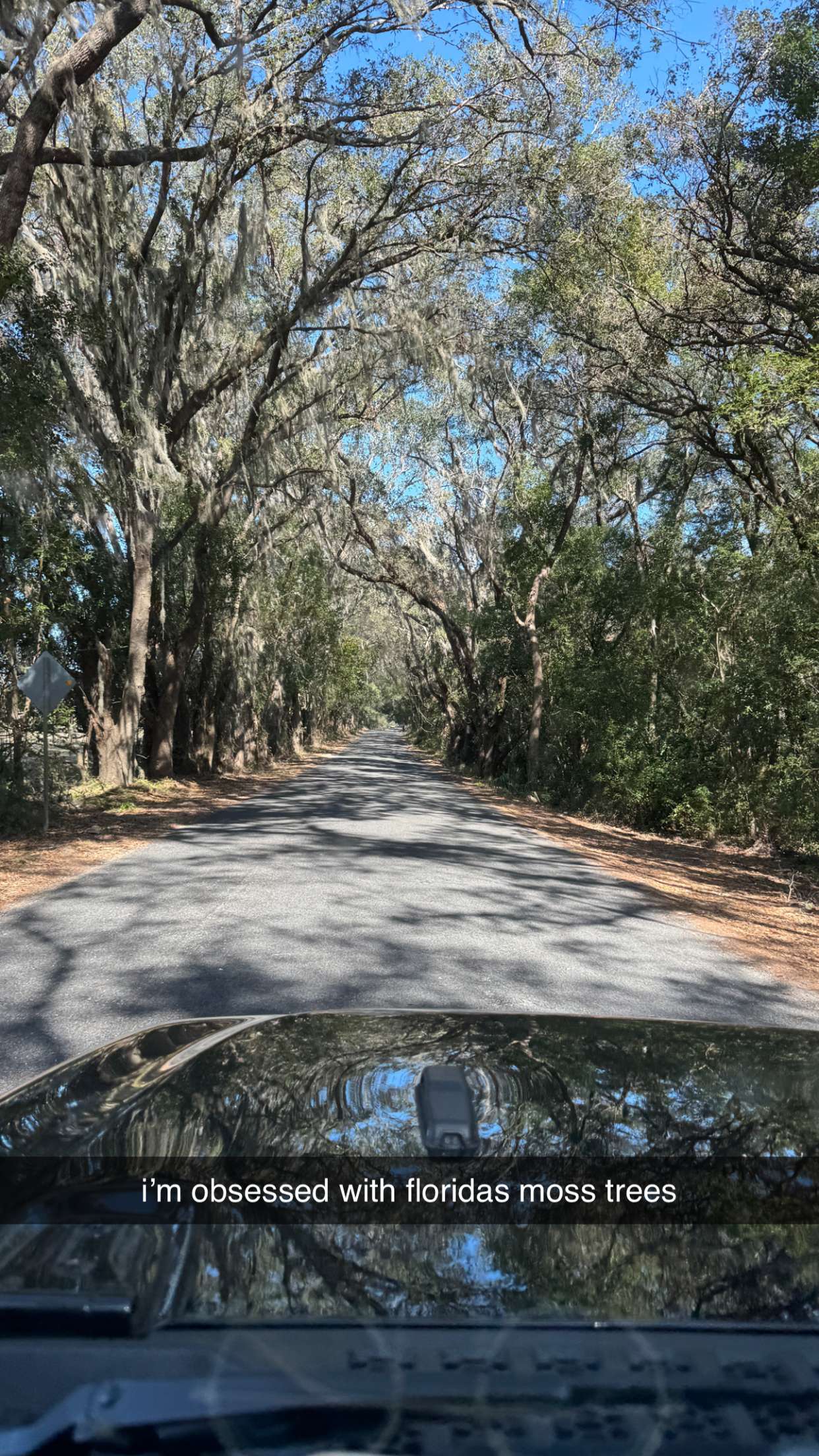 kkierstenking snapchat image archive image