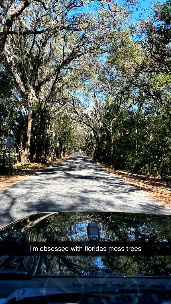 kkierstenking image ~ Altpins