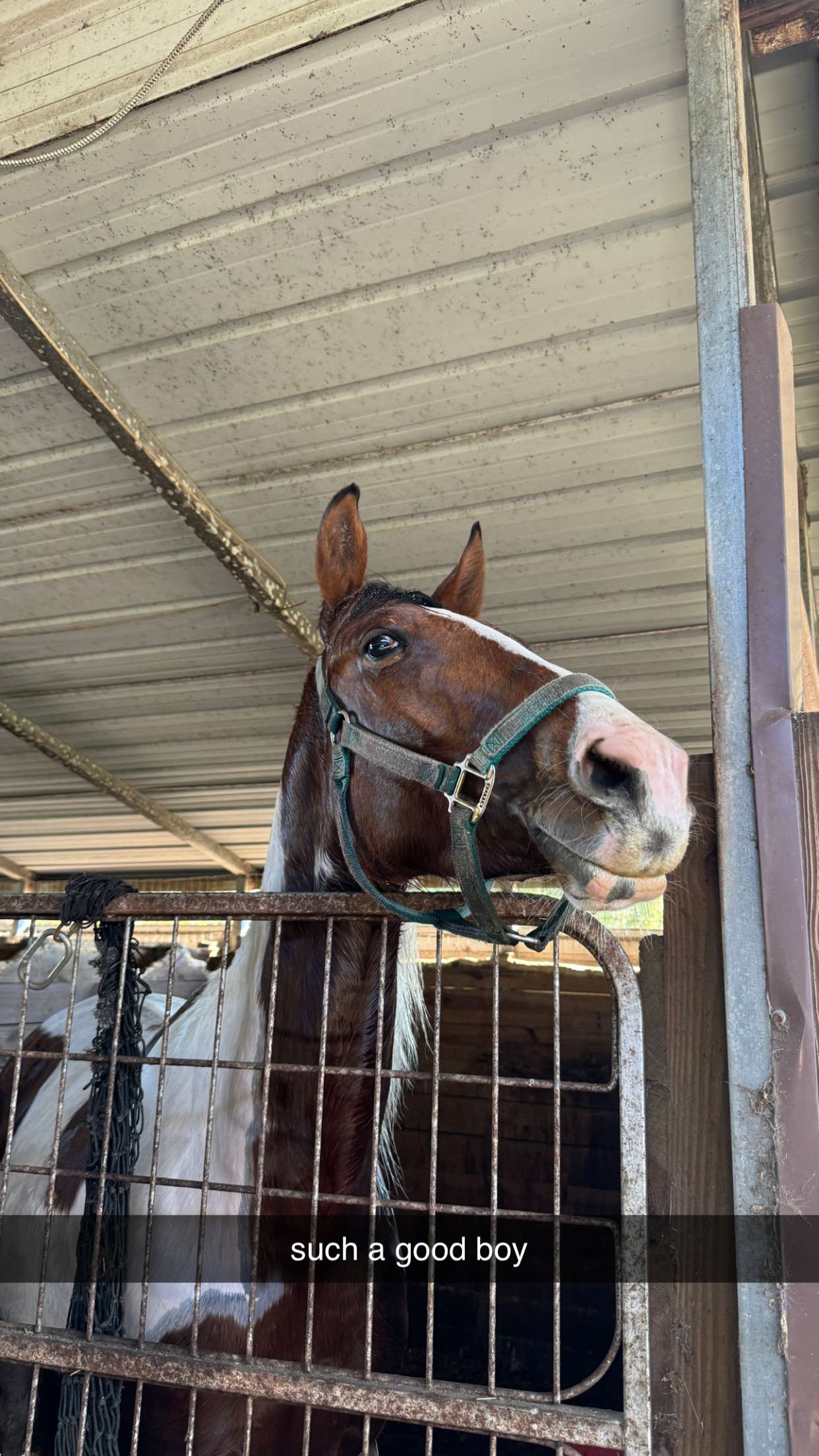 kkierstenking snapchat image archive image