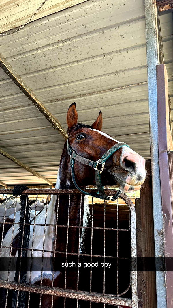 kkierstenking image ~ Altpins