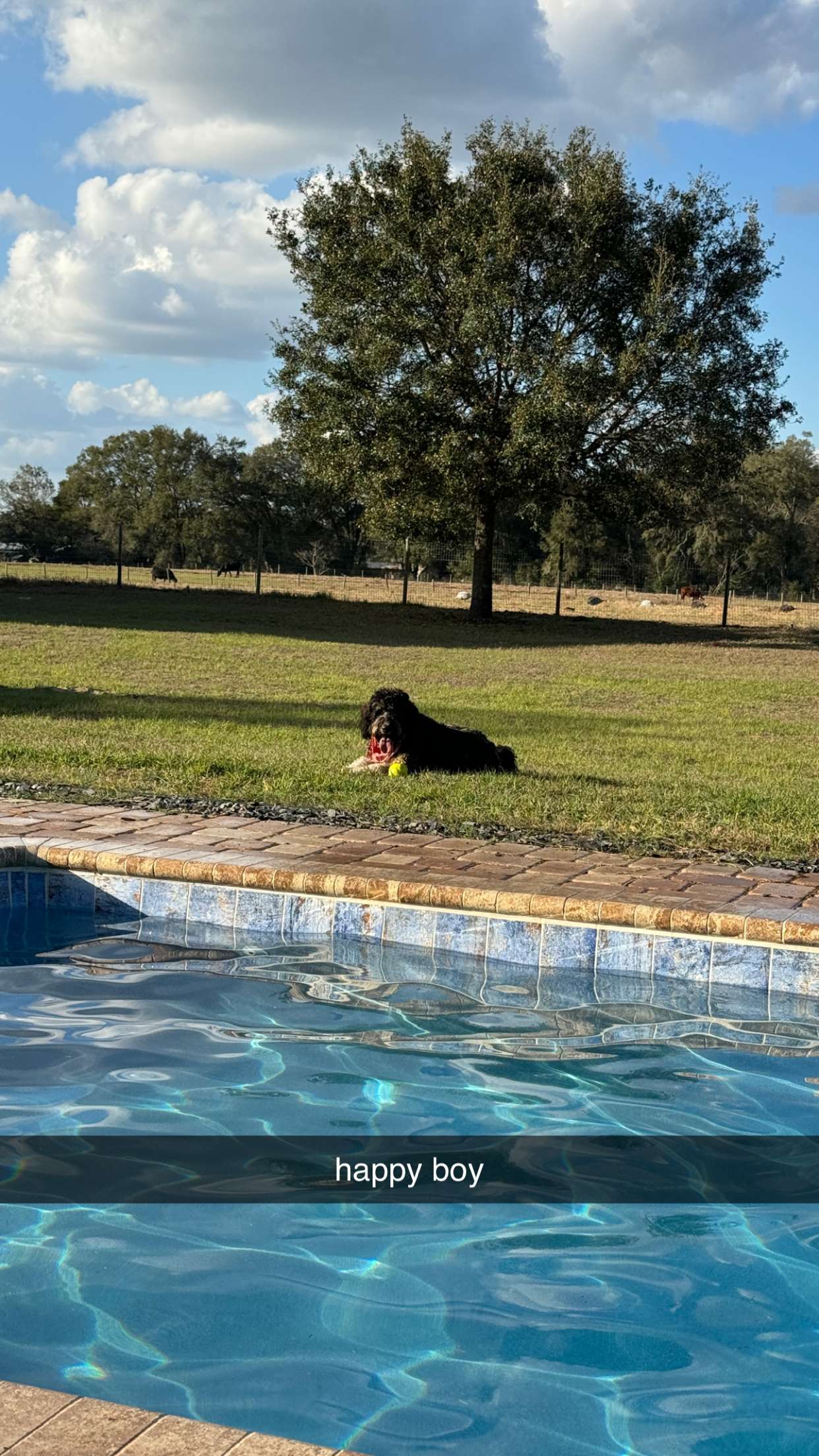 kkierstenking snapchat image archive image