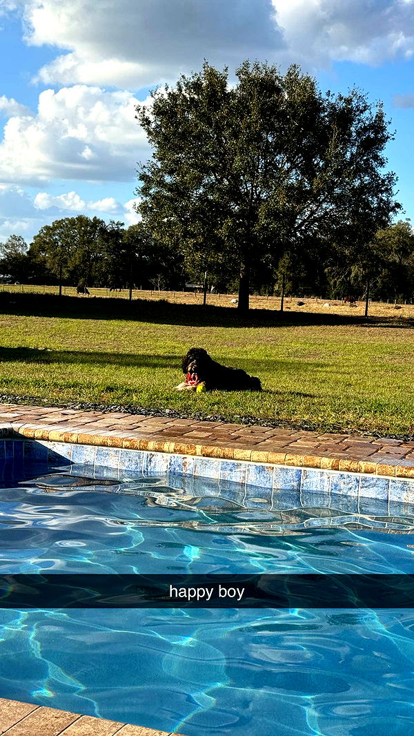 kkierstenking image ~ Altpins