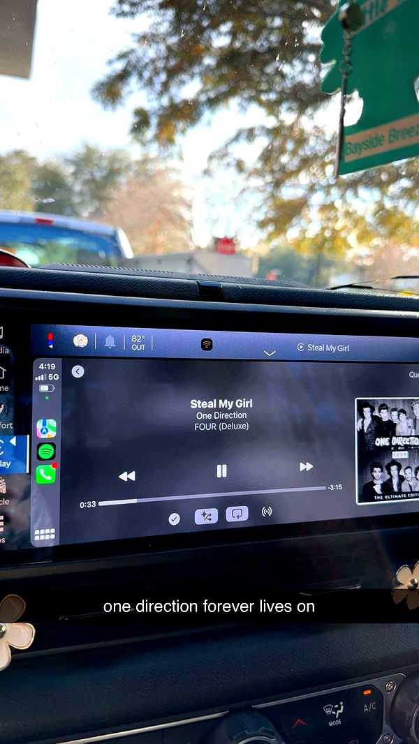 kkierstenking image ~ Altpins