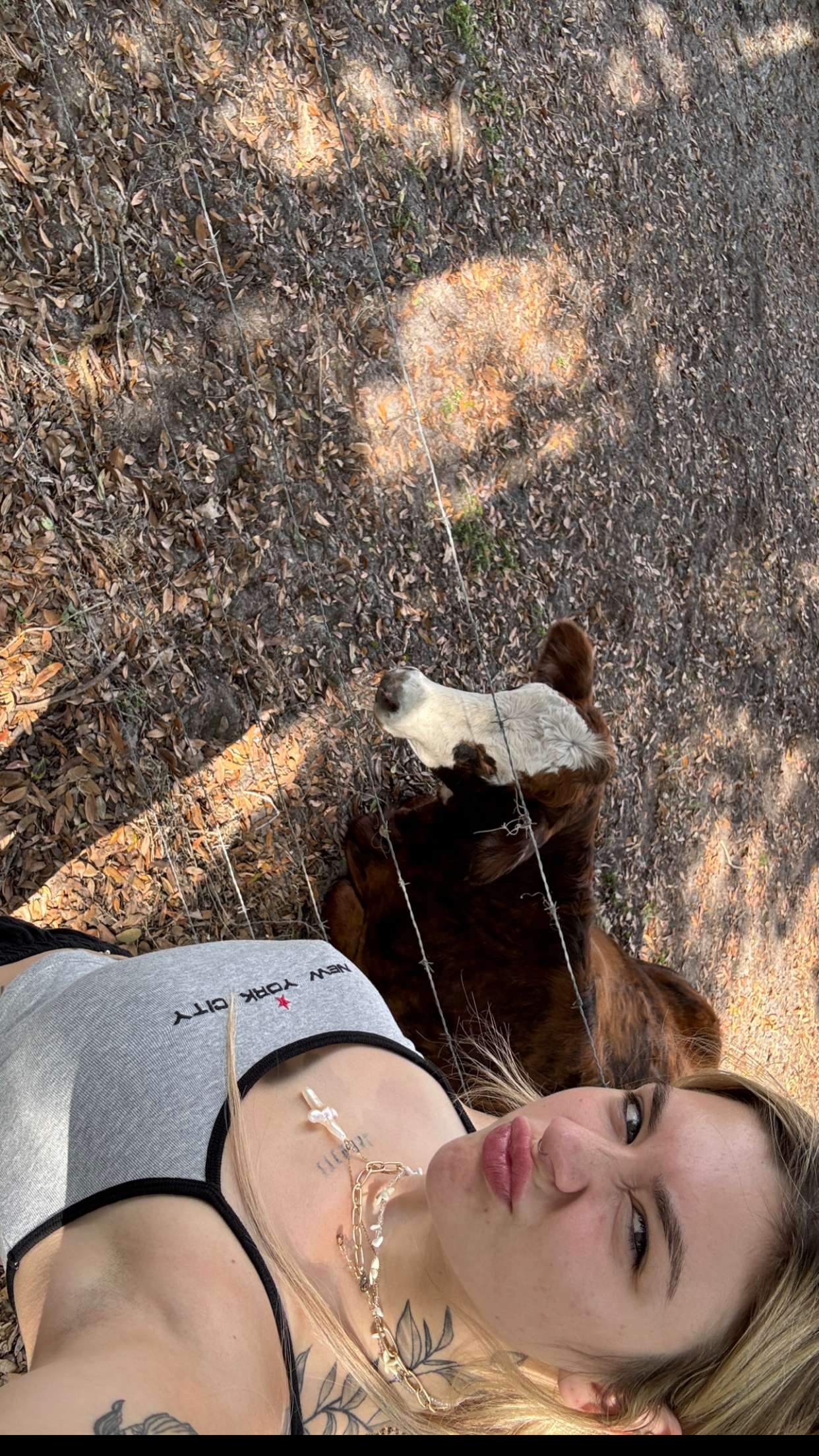 kkierstenking snapchat image archive image