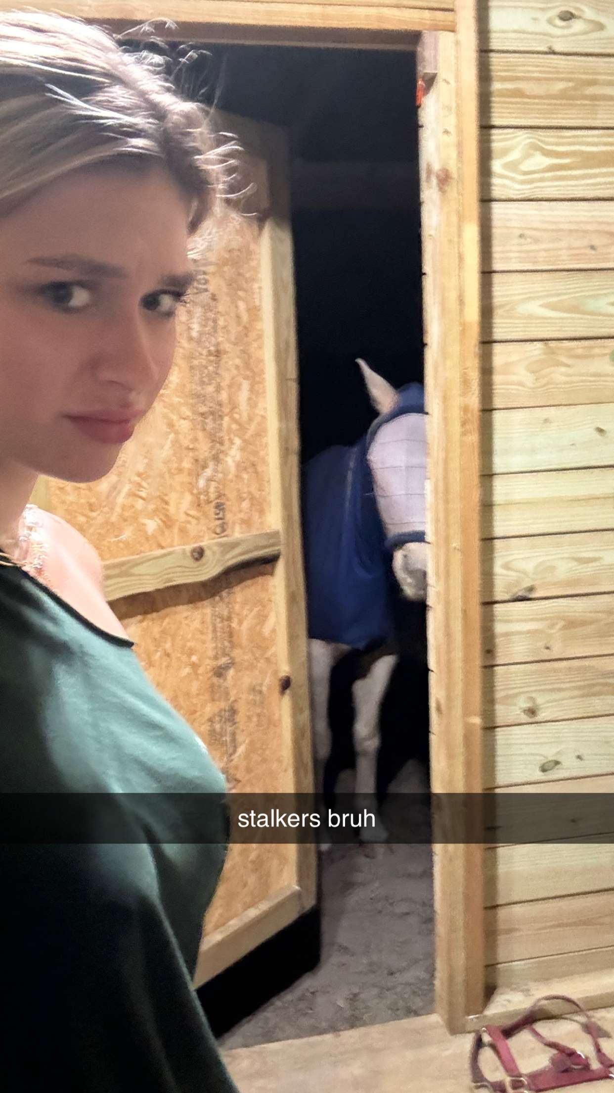 kkierstenking snapchat image archive image