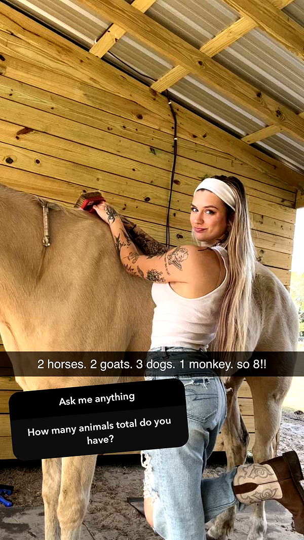 kkierstenking image ~ Altpins