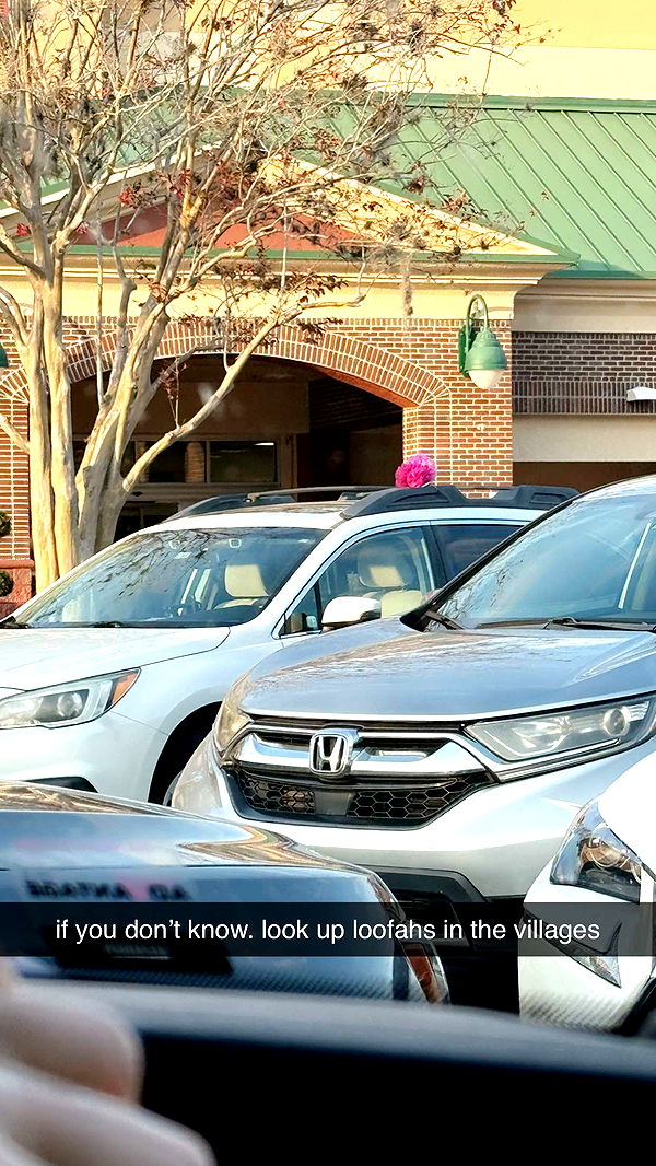 kkierstenking image ~ Altpins