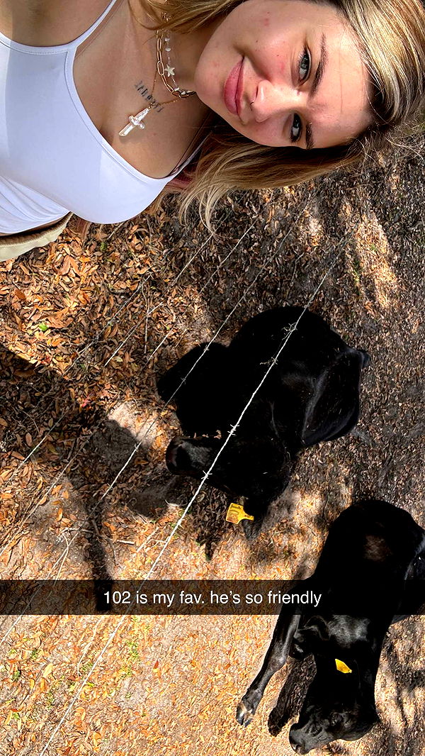 kkierstenking image ~ Altpins