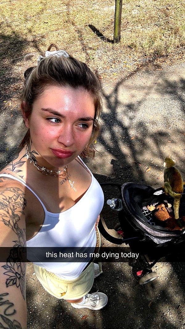 kkierstenking image ~ Altpins