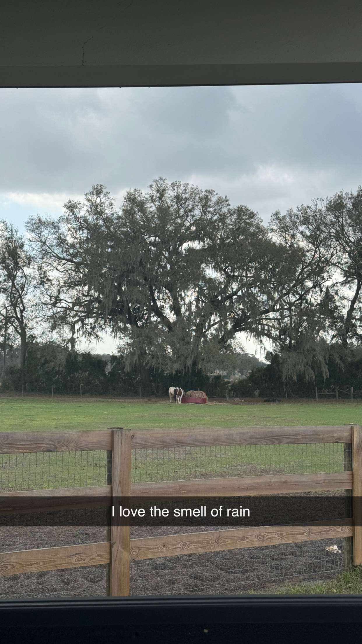 kkierstenking snapchat image archive image