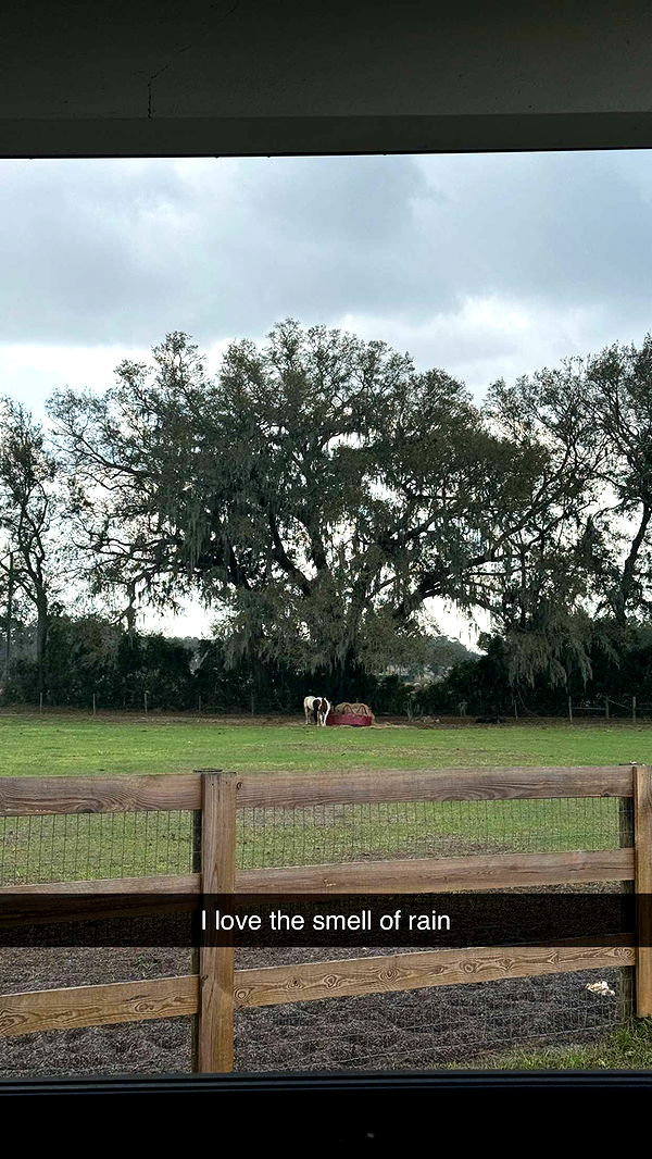 kkierstenking image ~ Altpins