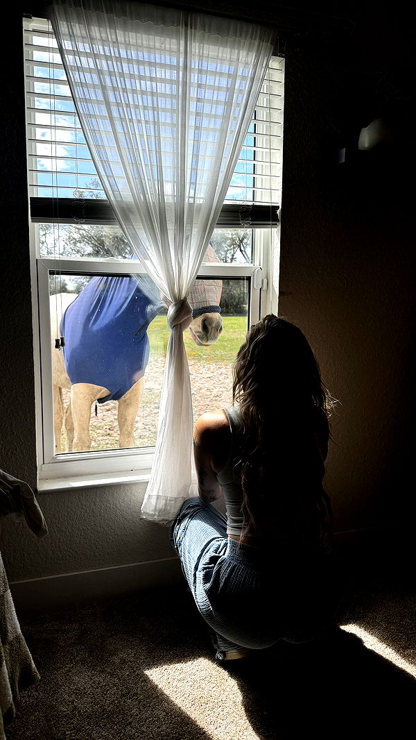 kkierstenking image ~ Altpins