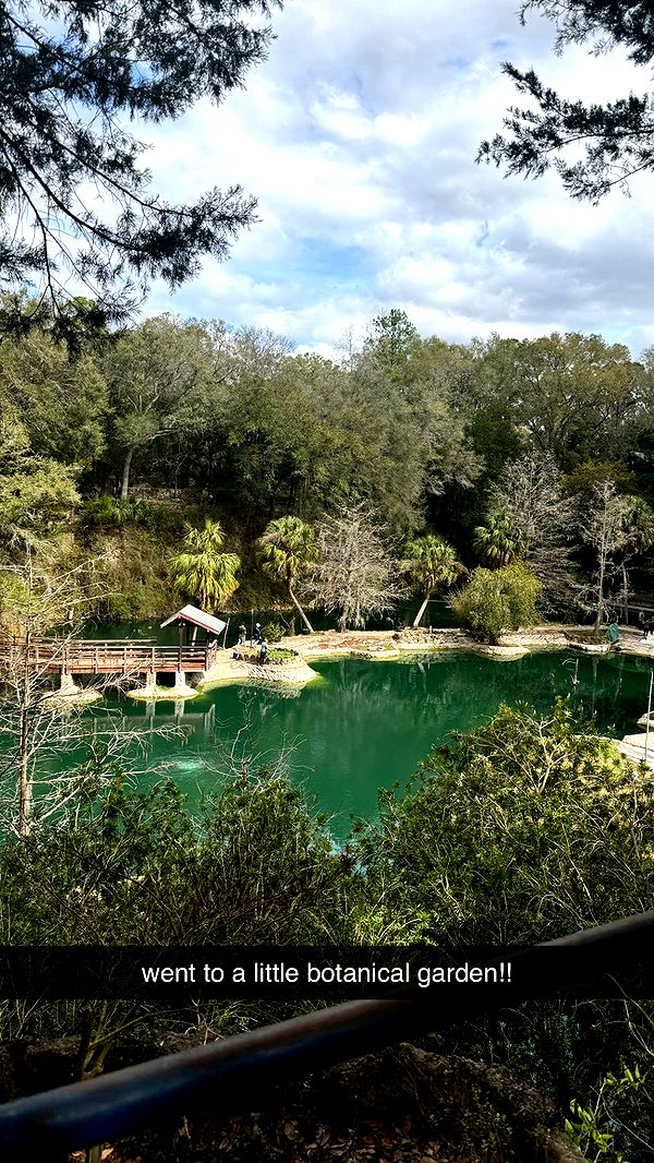 kkierstenking image ~ Altpins