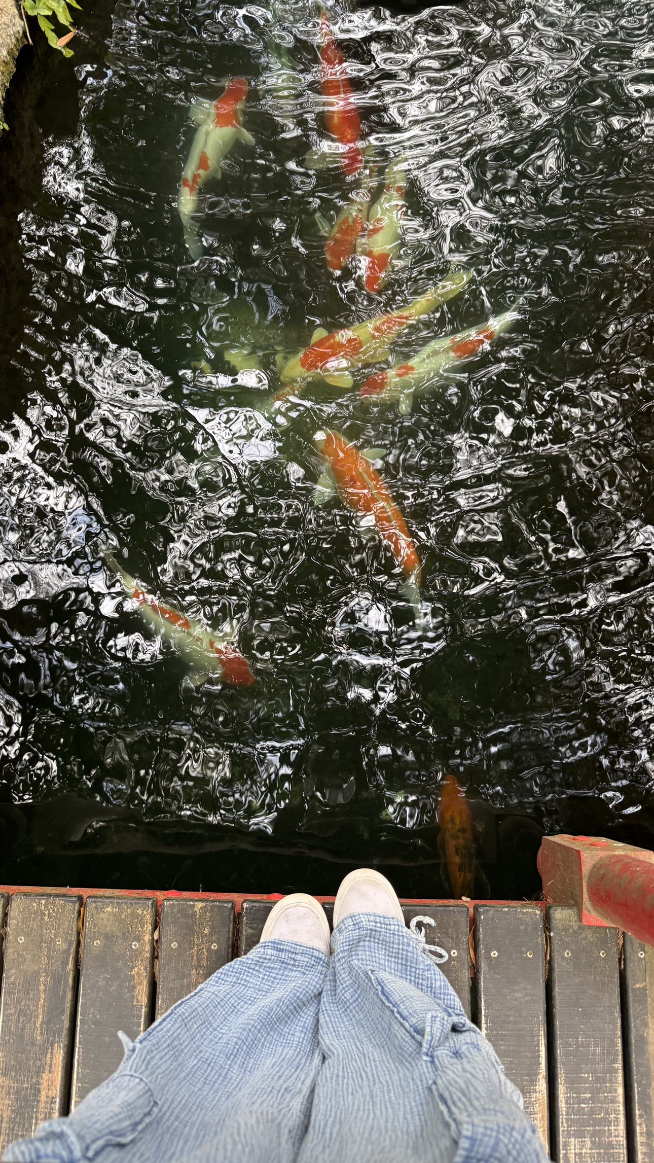 kkierstenking snapchat image archive image