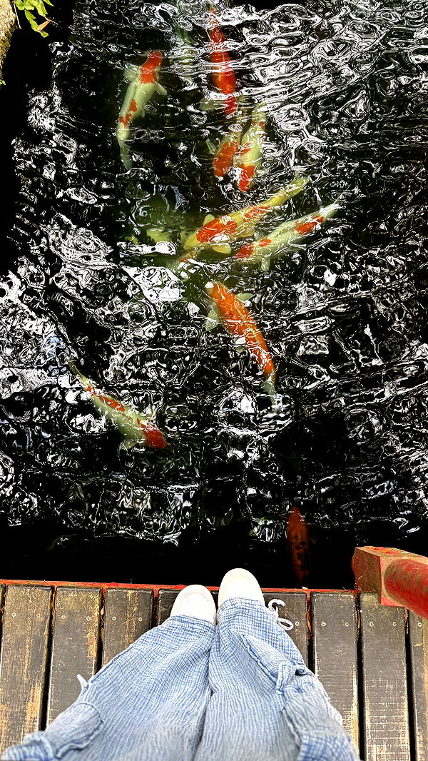 kkierstenking image ~ Altpins