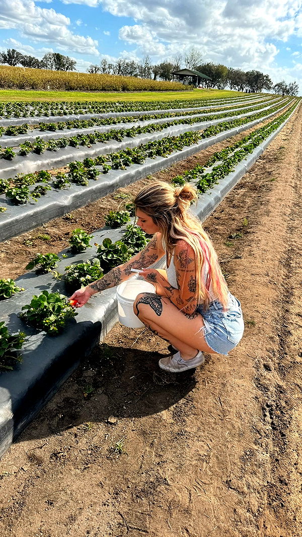 kkierstenking image ~ Altpins