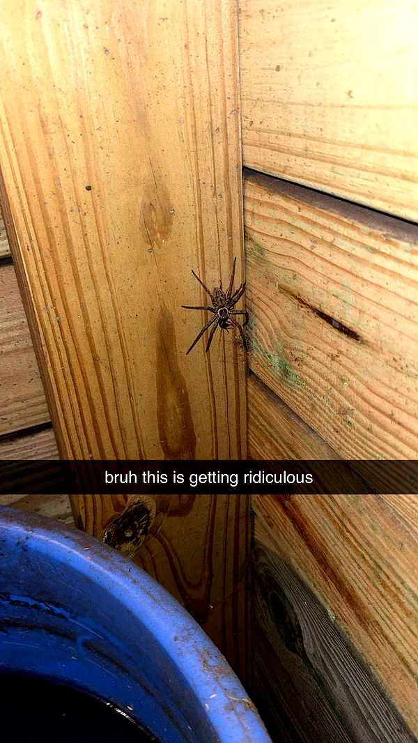 kkierstenking image ~ Altpins