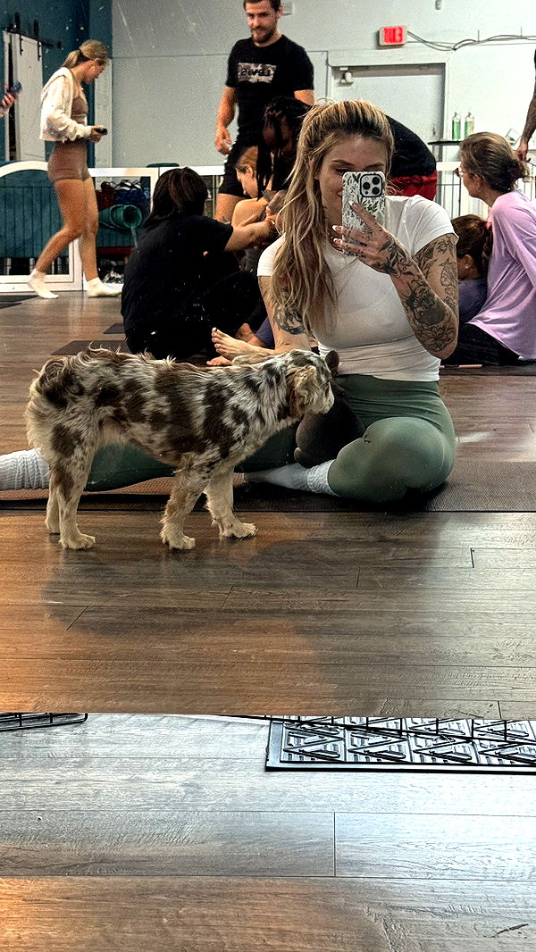 kkierstenking image ~ Altpins