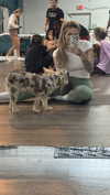 kkierstenking Altpins Profile Picture