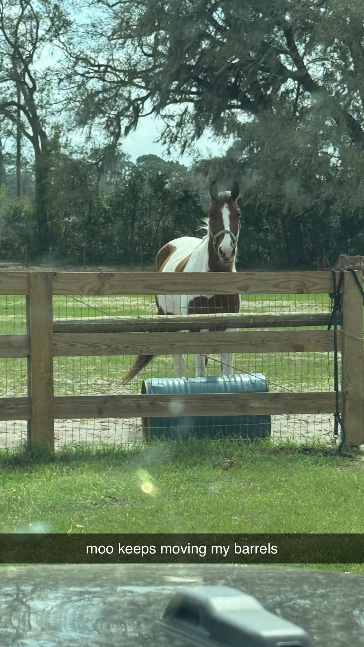 kkierstenking snapchat image archive image