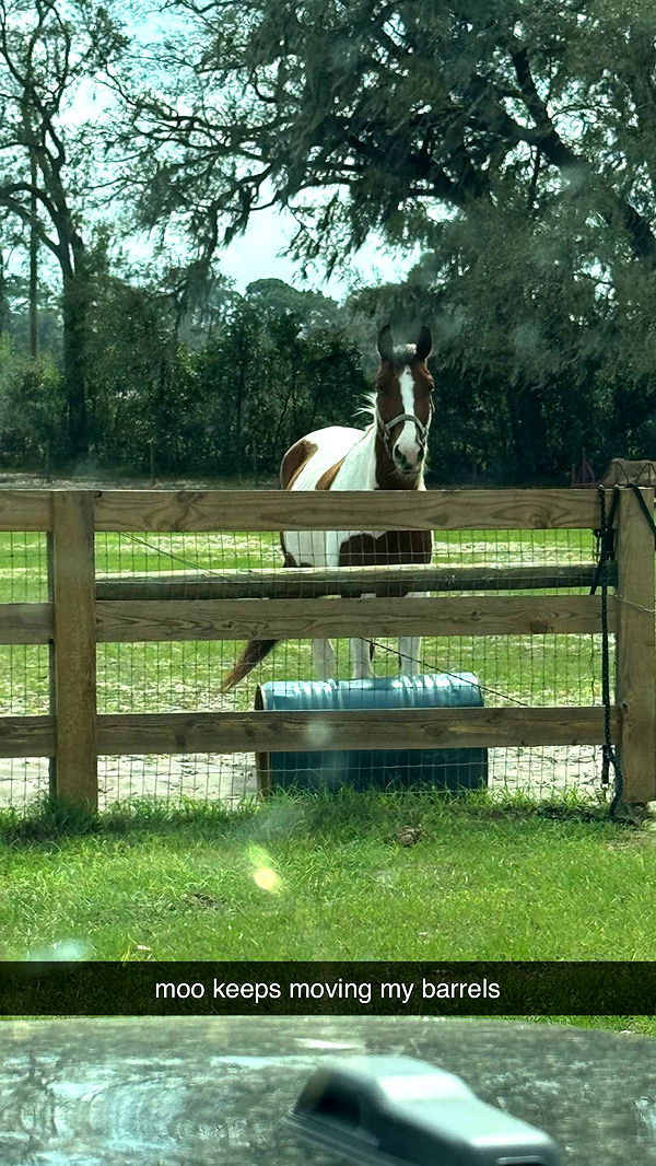 kkierstenking image ~ Altpins