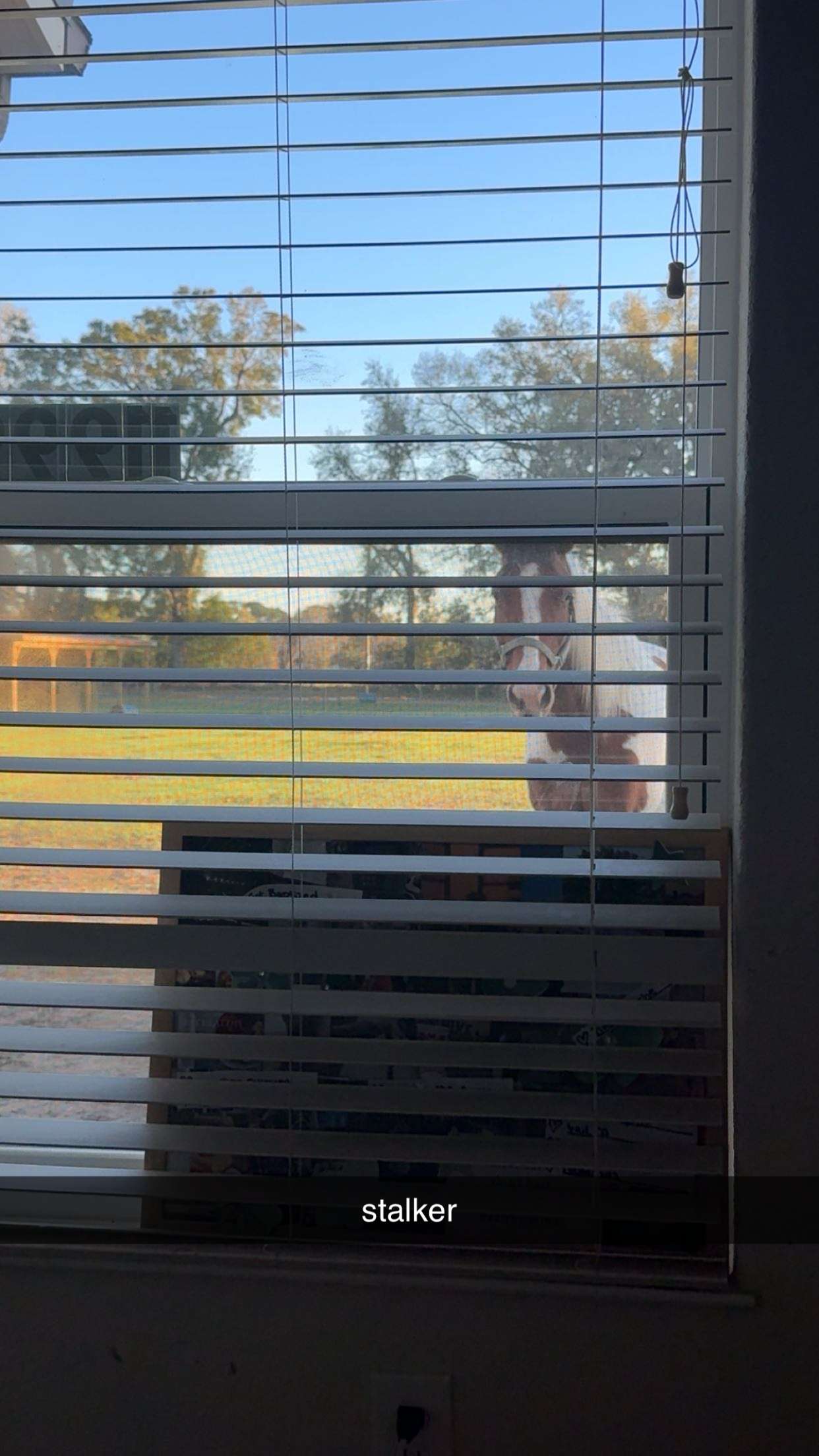 kkierstenking snapchat image archive image