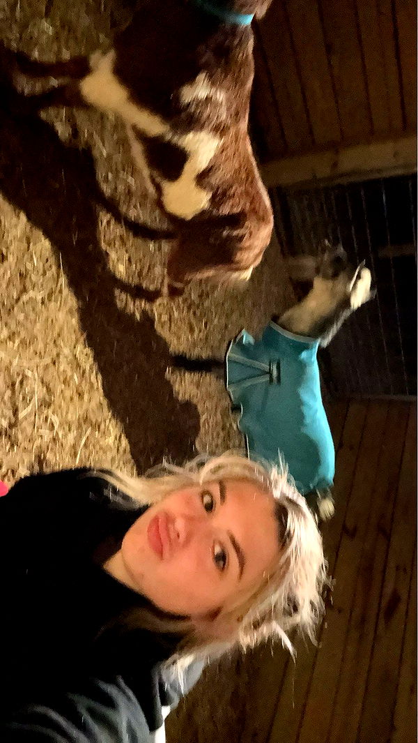 kkierstenking image ~ Altpins