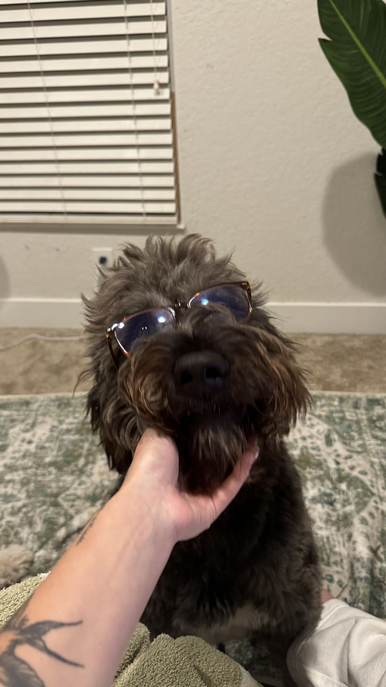 kkierstenking snapchat image archive image