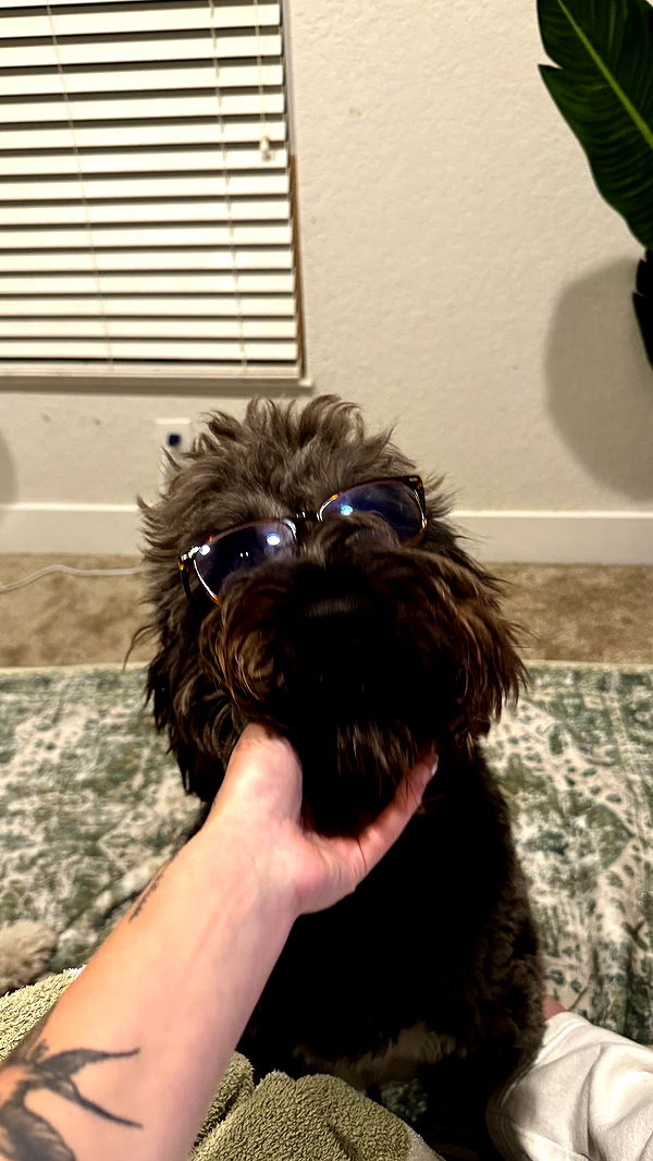 kkierstenking image ~ Altpins