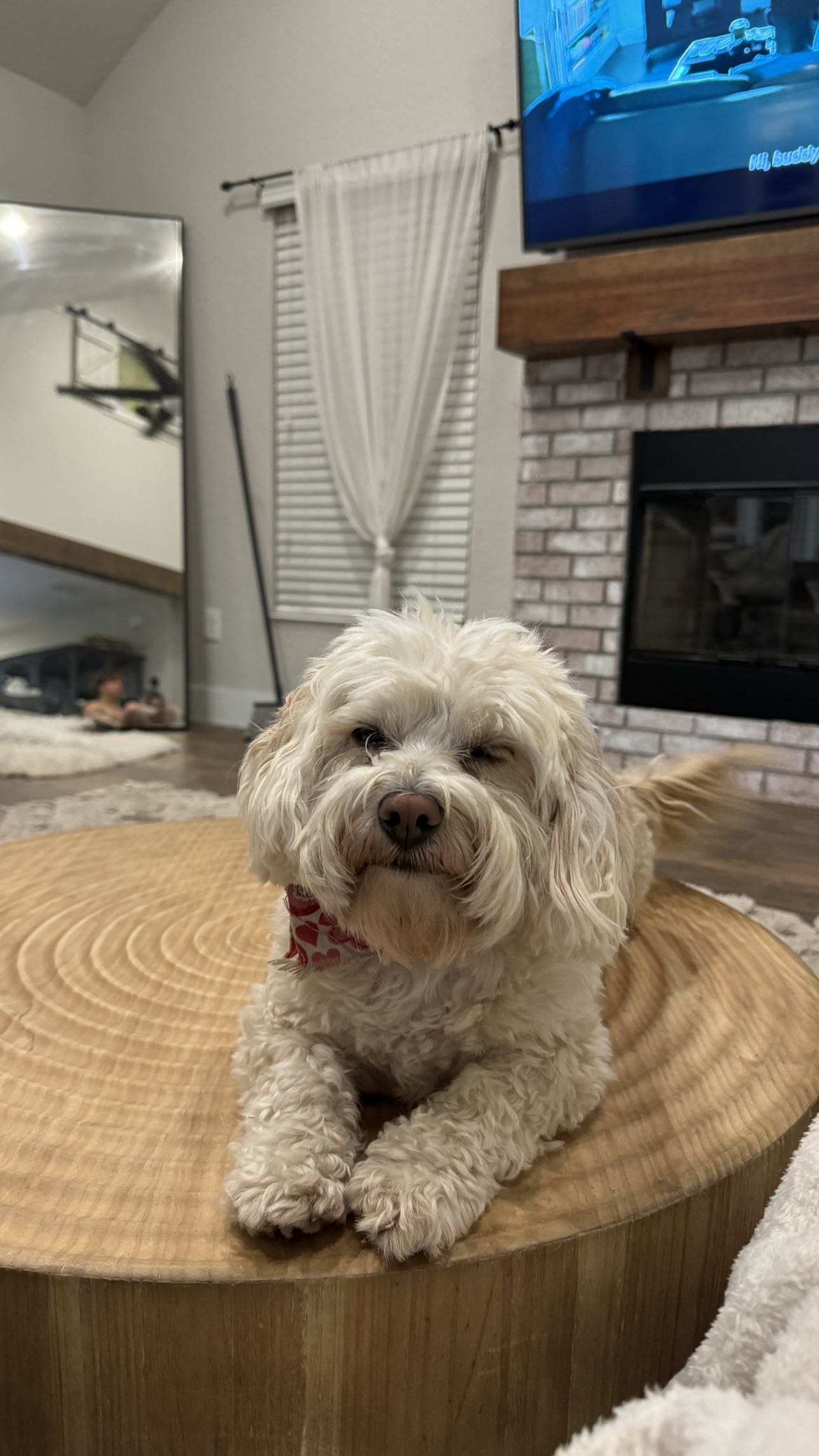 kkierstenking snapchat image archive image