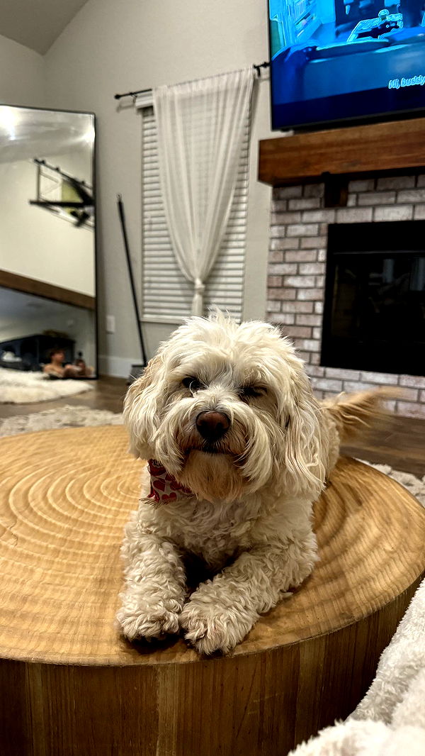 kkierstenking image ~ Altpins