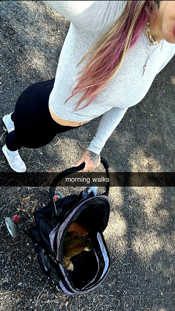 kkierstenking image ~ Altpins