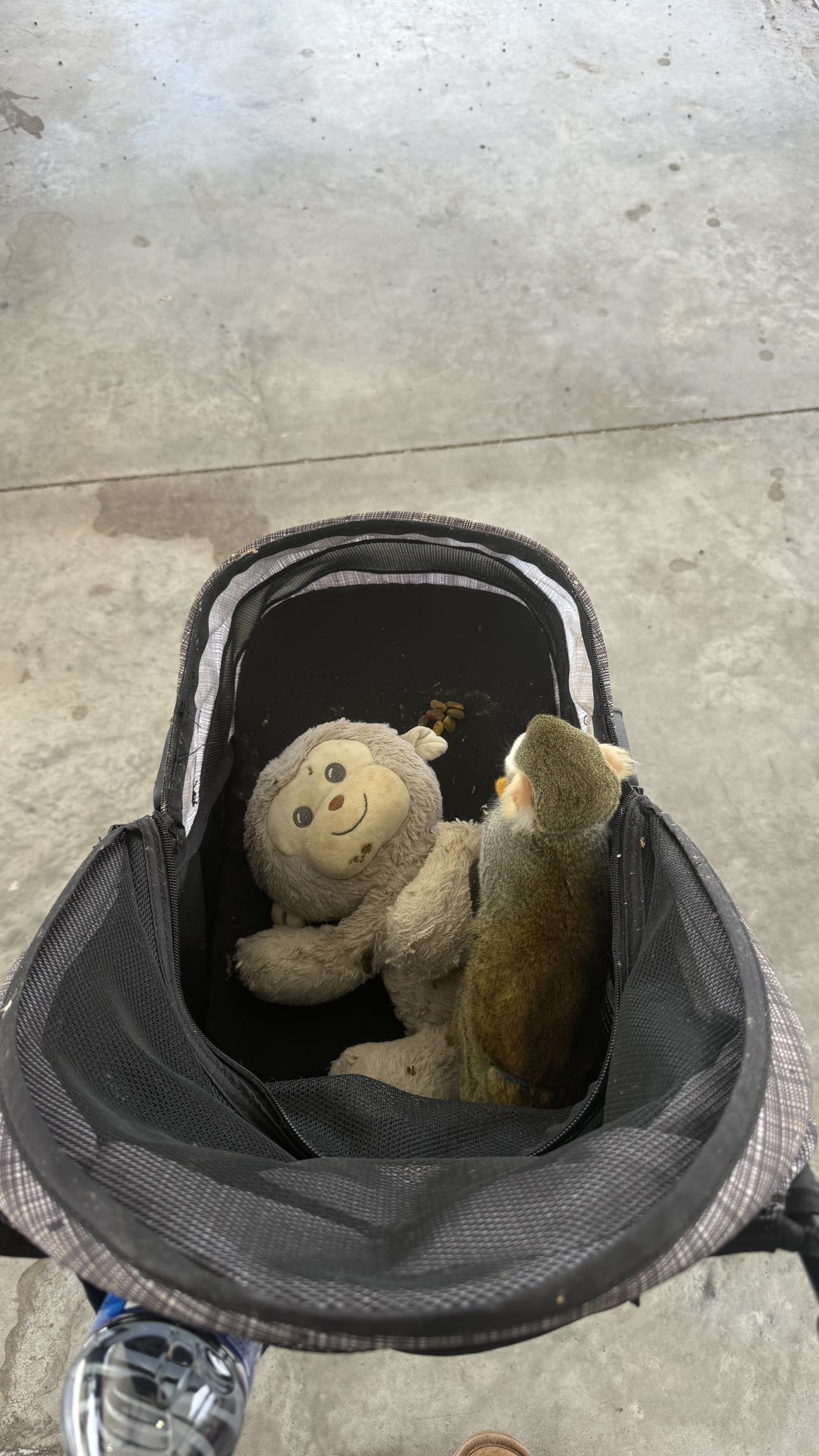 kkierstenking snapchat image archive image