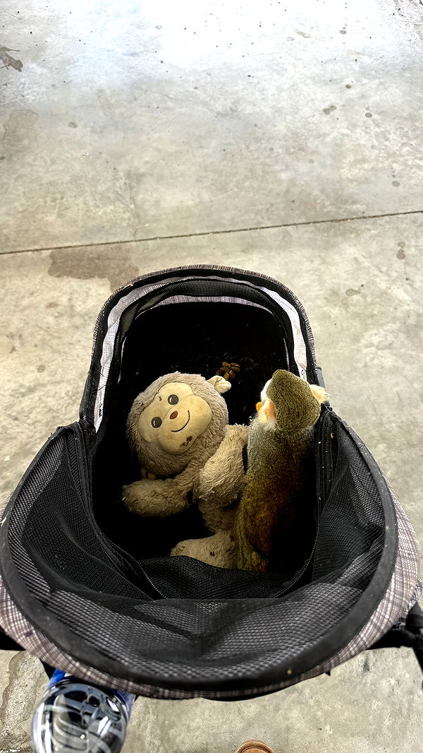 kkierstenking image ~ Altpins