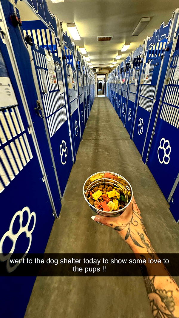 kkierstenking image ~ Altpins