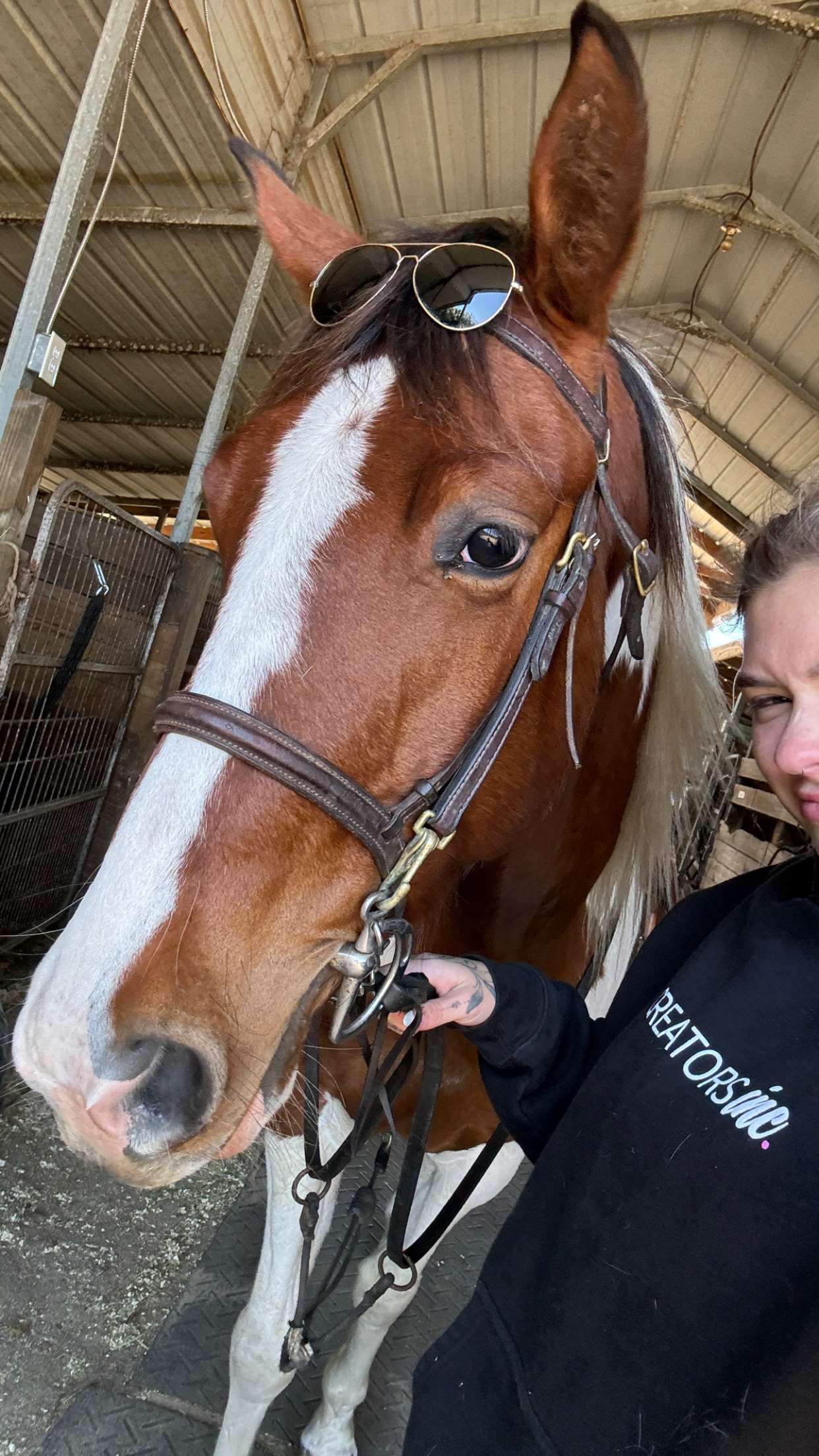 kkierstenking snapchat image archive image