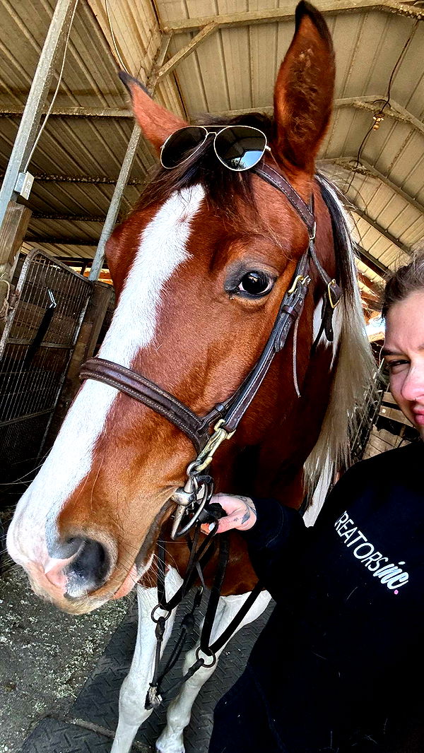 kkierstenking image ~ Altpins