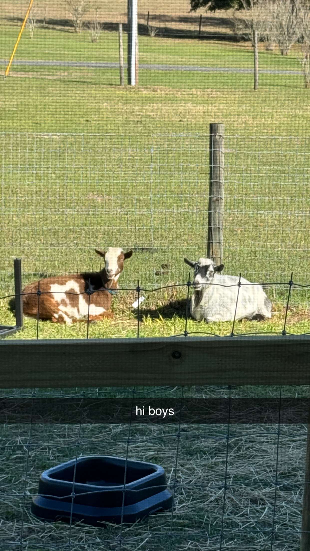 kkierstenking snapchat image archive image