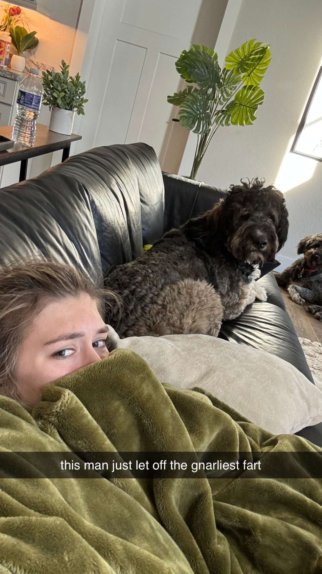 kkierstenking snapchat image archive image