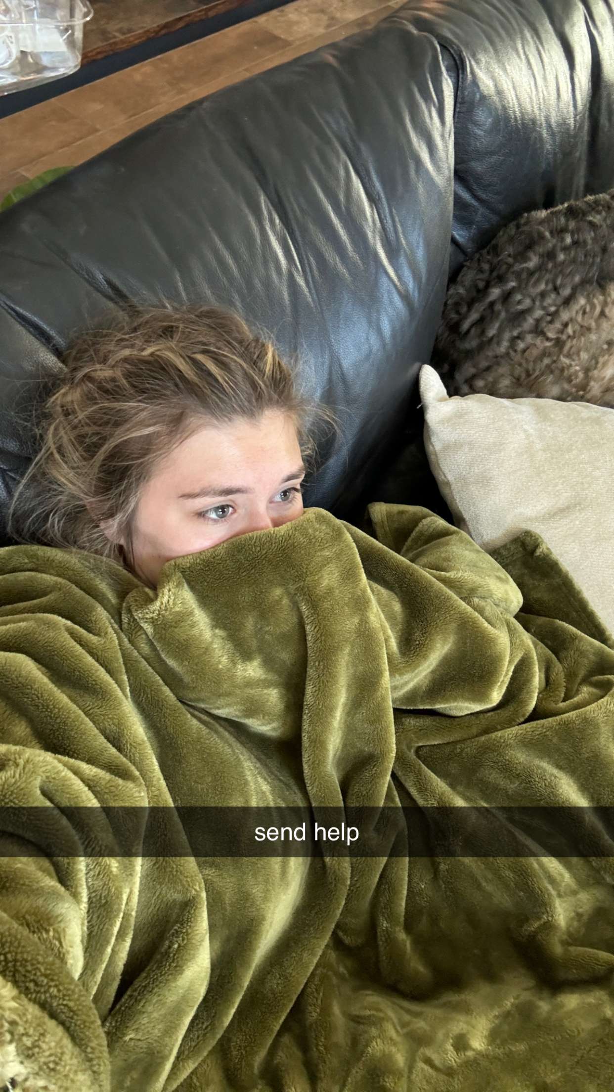 kkierstenking snapchat image archive image