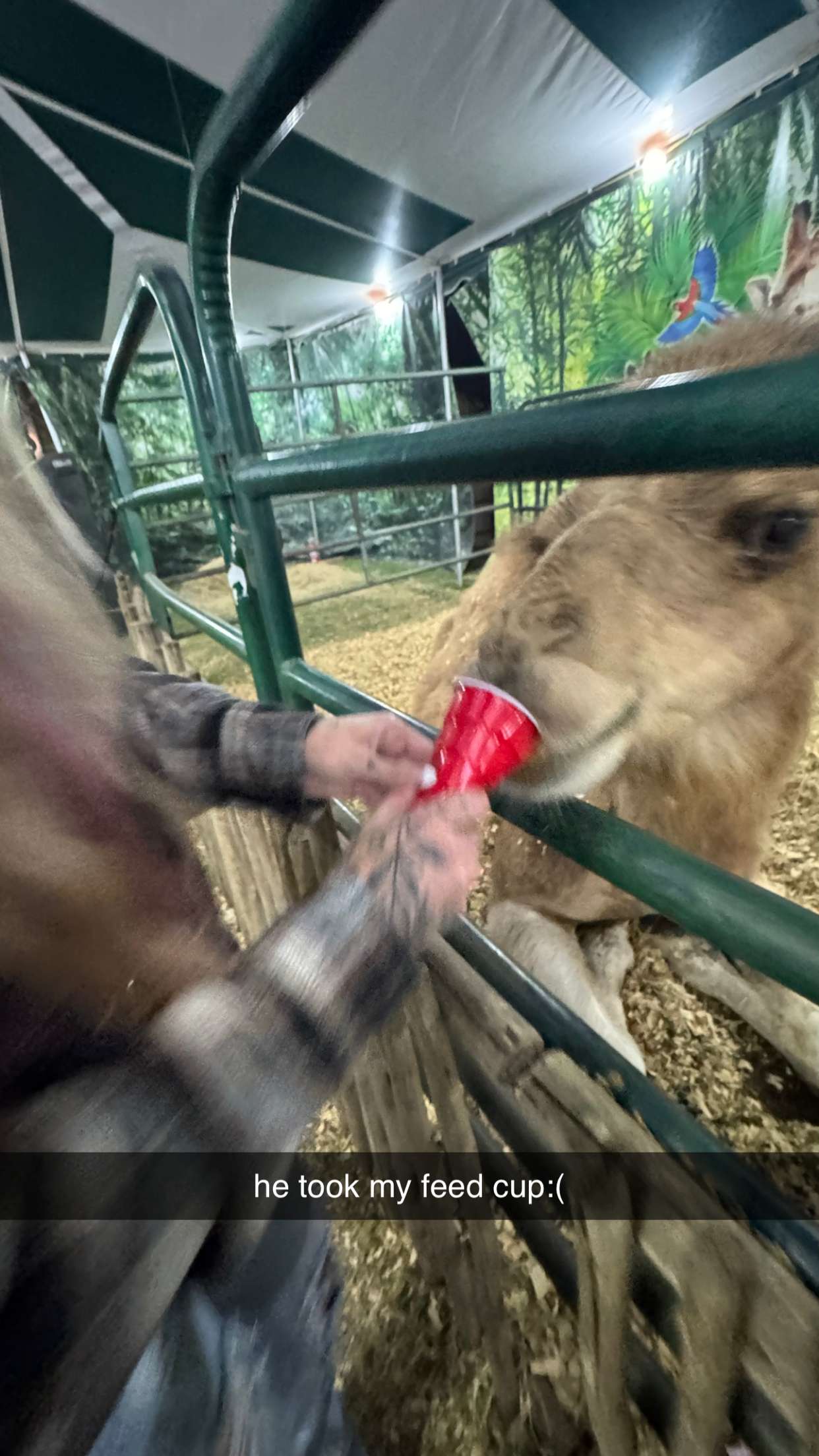 kkierstenking snapchat image archive image