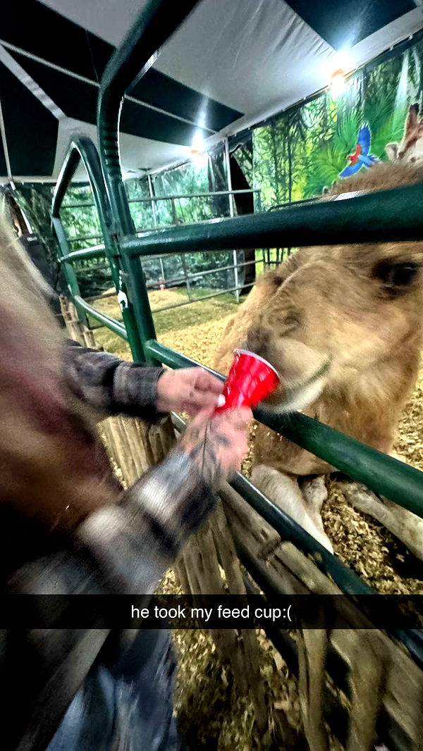 kkierstenking image ~ Altpins