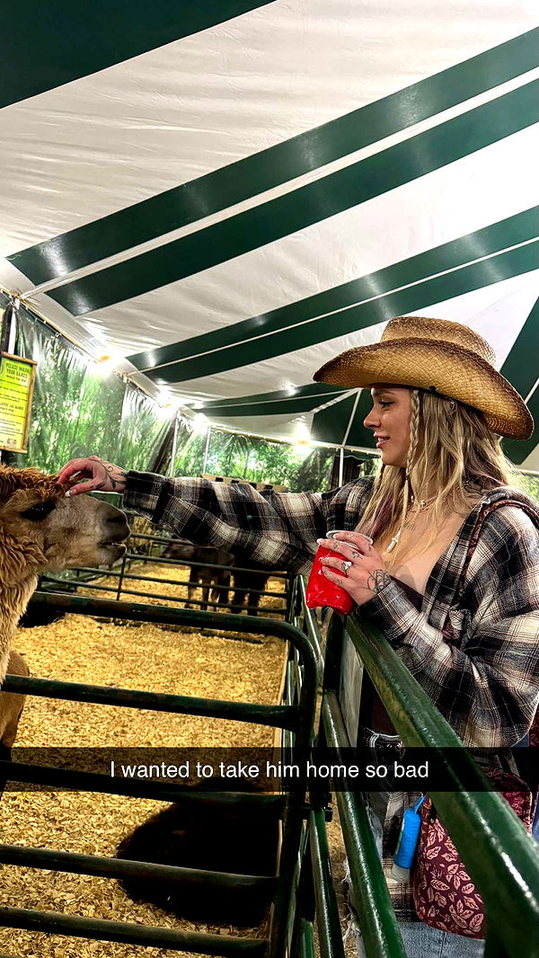 kkierstenking image ~ Altpins