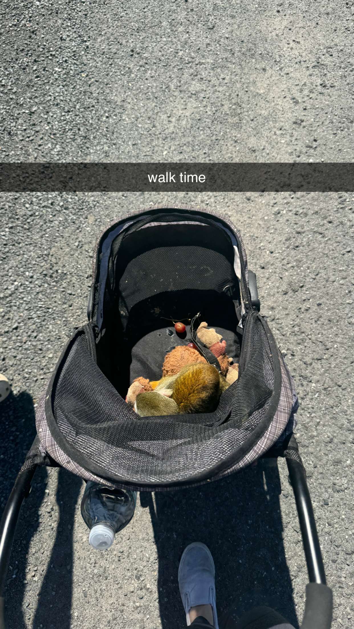 kkierstenking snapchat image archive image