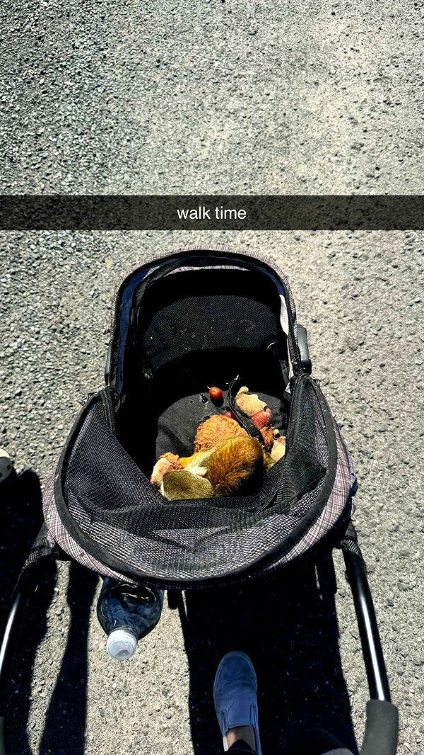 kkierstenking image ~ Altpins