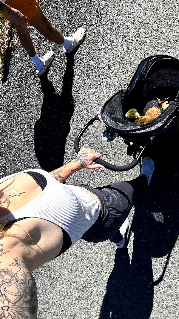 kkierstenking image ~ Altpins