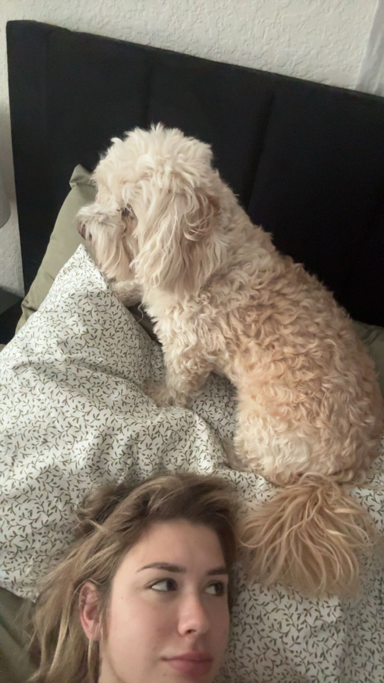 kkierstenking snapchat image archive image