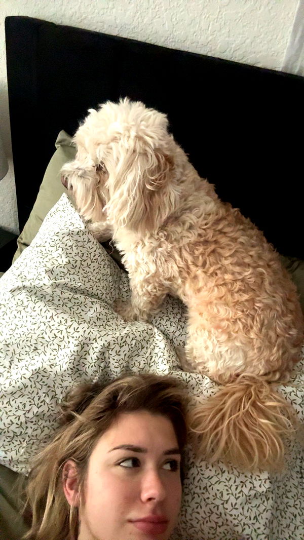 kkierstenking image ~ Altpins