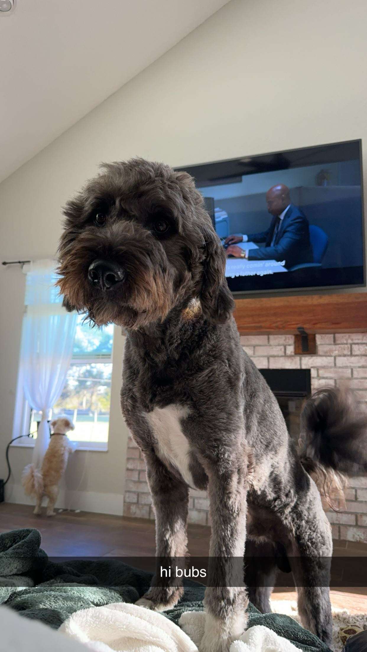 kkierstenking snapchat image archive image